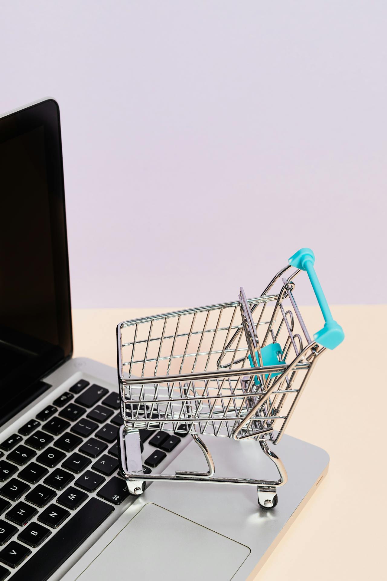 eCommerce advertising and shopping campaigns